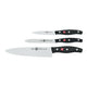 Zwilling Messenset 3-delig 'Twin Pollux'