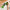 Avocadosnijder 3-in-1 - 1