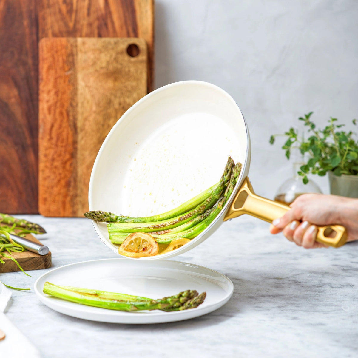 GreenChef Pannen artikelen | Drogist Warenhuis