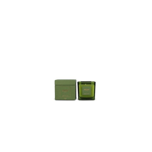 S|P Collection Geurkaars 220g Forest Gallery